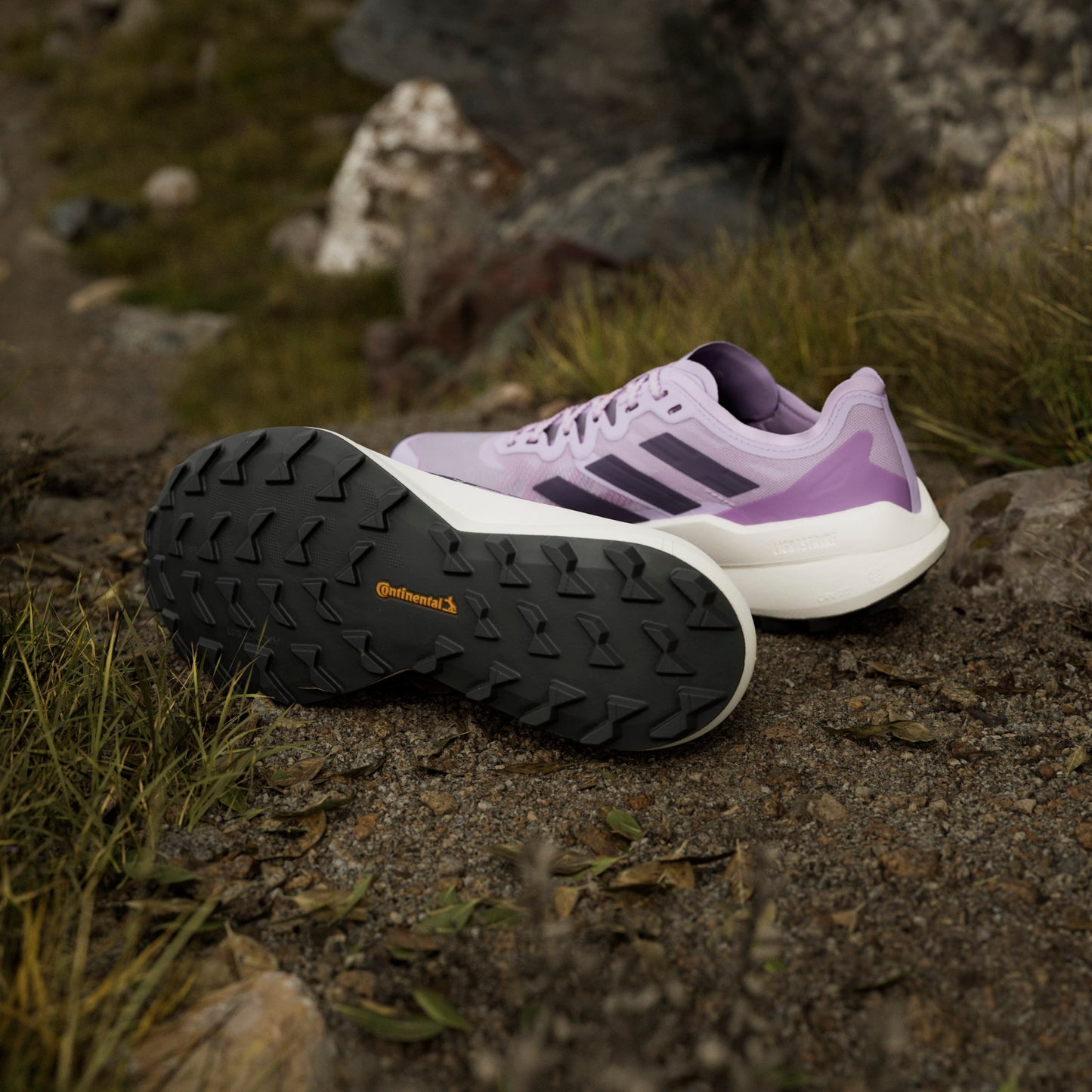 adidas Terrex Agravic Speed | Powder Plum / Aurora Plum / Lucid Red | Womens