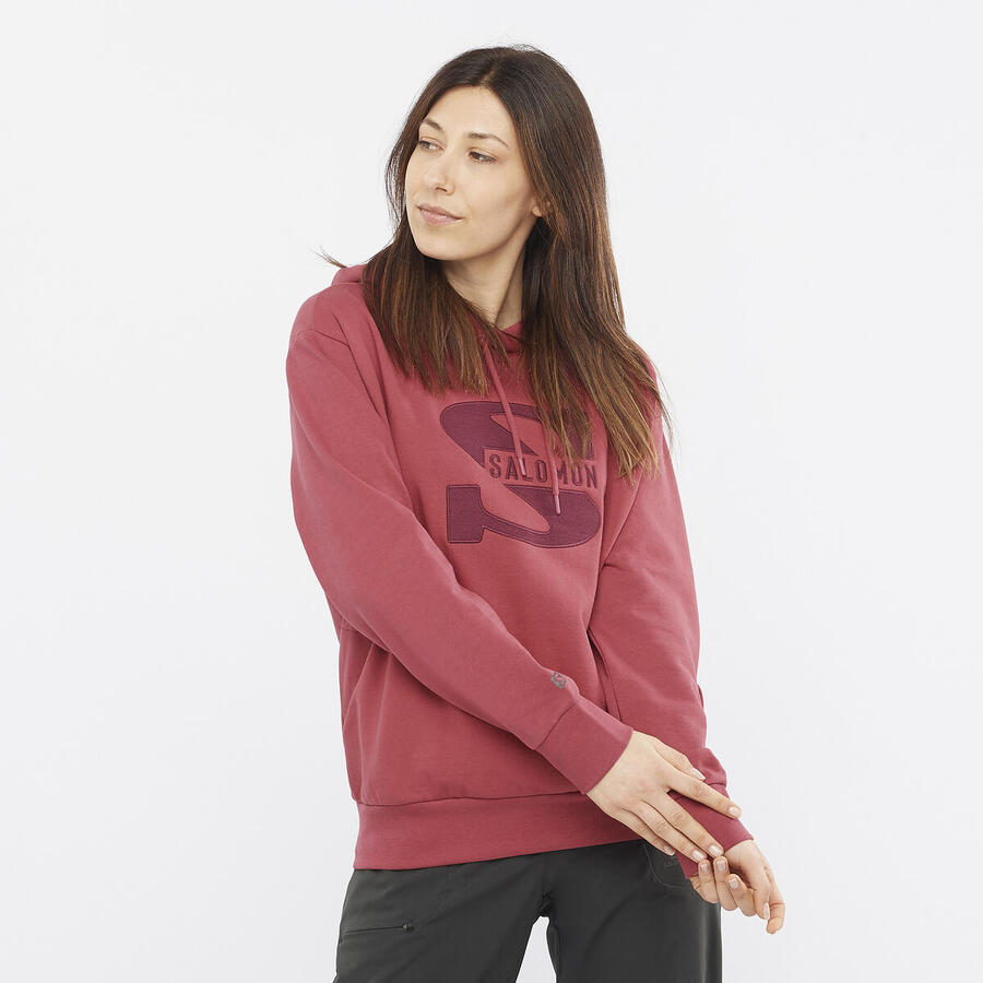 Salomon Outlife Pullover Hoody | Womens