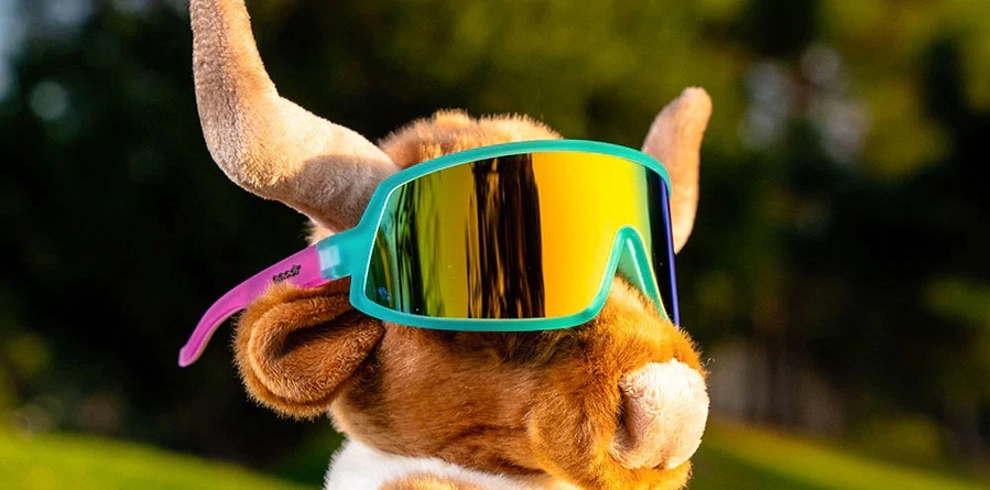 goodr Sunglasses | Wrap Gs | Save A Bull, Ride A Rodeo Clown