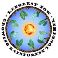 Reforest Now