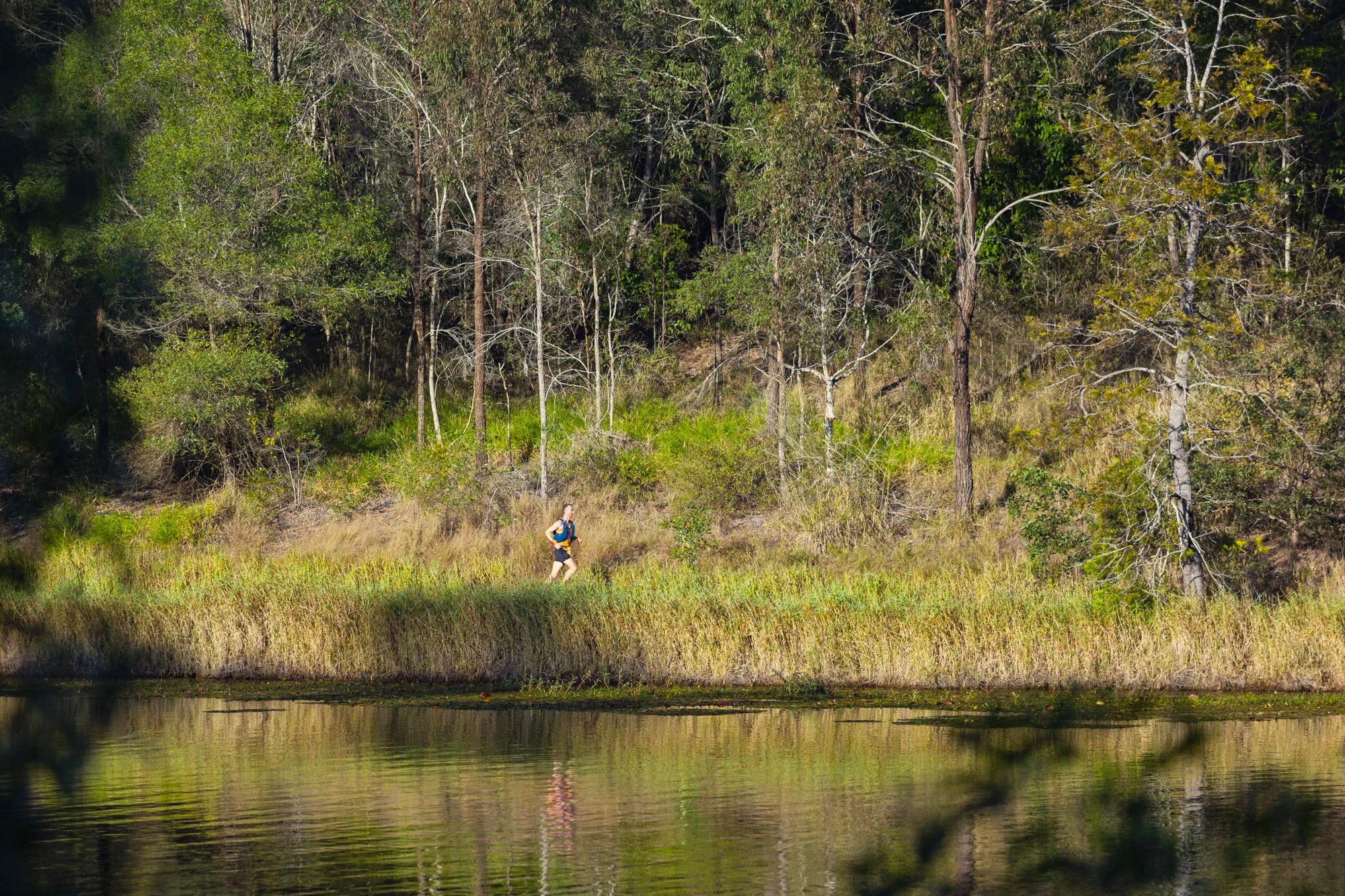 Enoggera Reservoir trail running loop