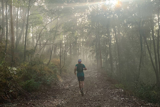 The Pinnacles Trail Running Loop - Brisbane