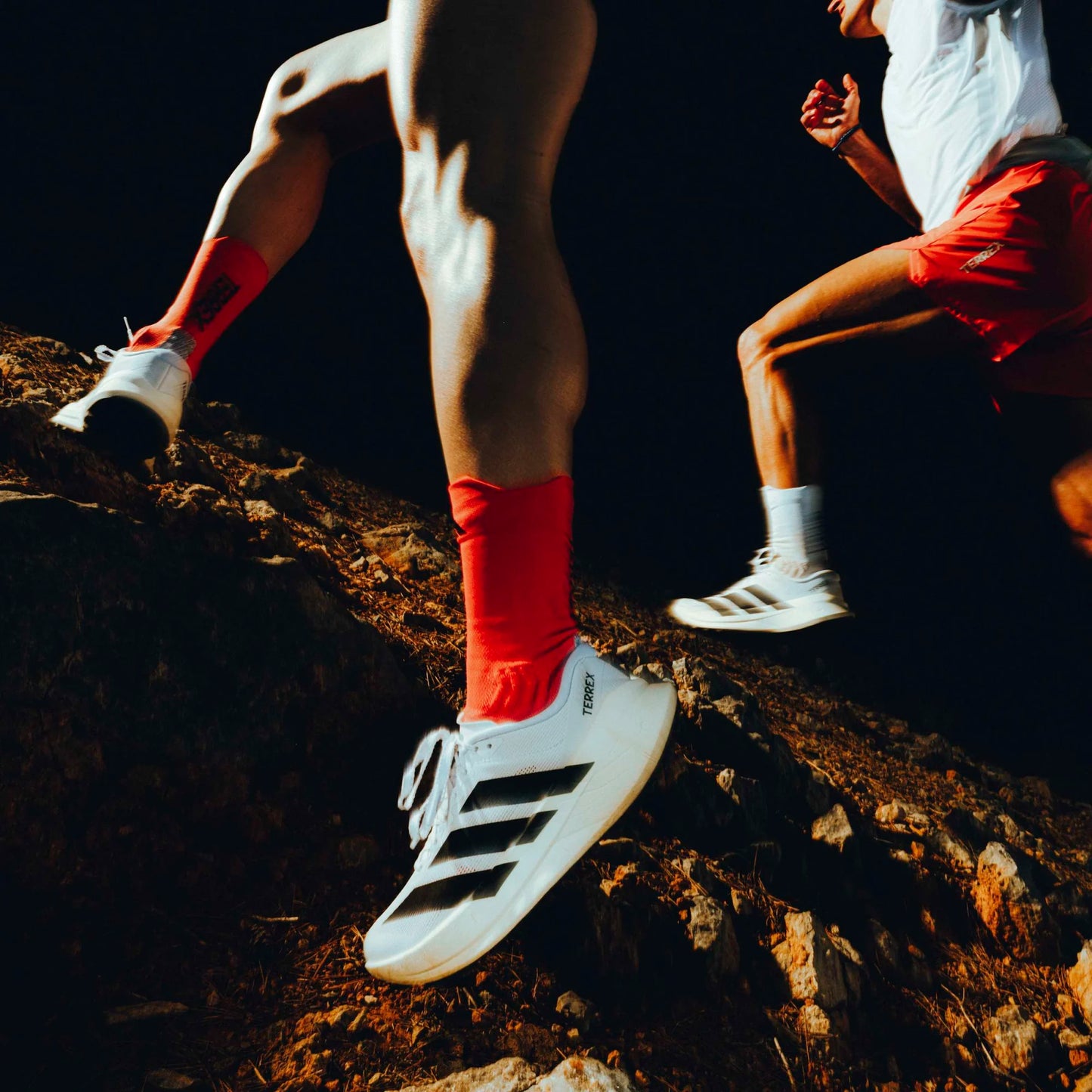 adidas Terrex Agravic SL | Cloud White / Core Black / Cloud White | Womens