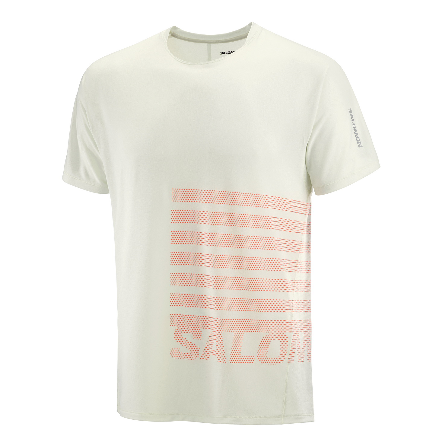 Salomon Sense Aero Tee GFX | Icicle / Neon Flame | Mens