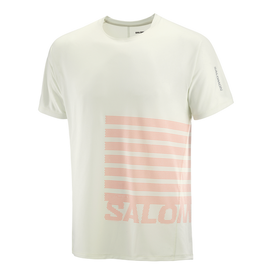Salomon Sense Aero Tee GFX | Icicle / Neon Flame | Mens
