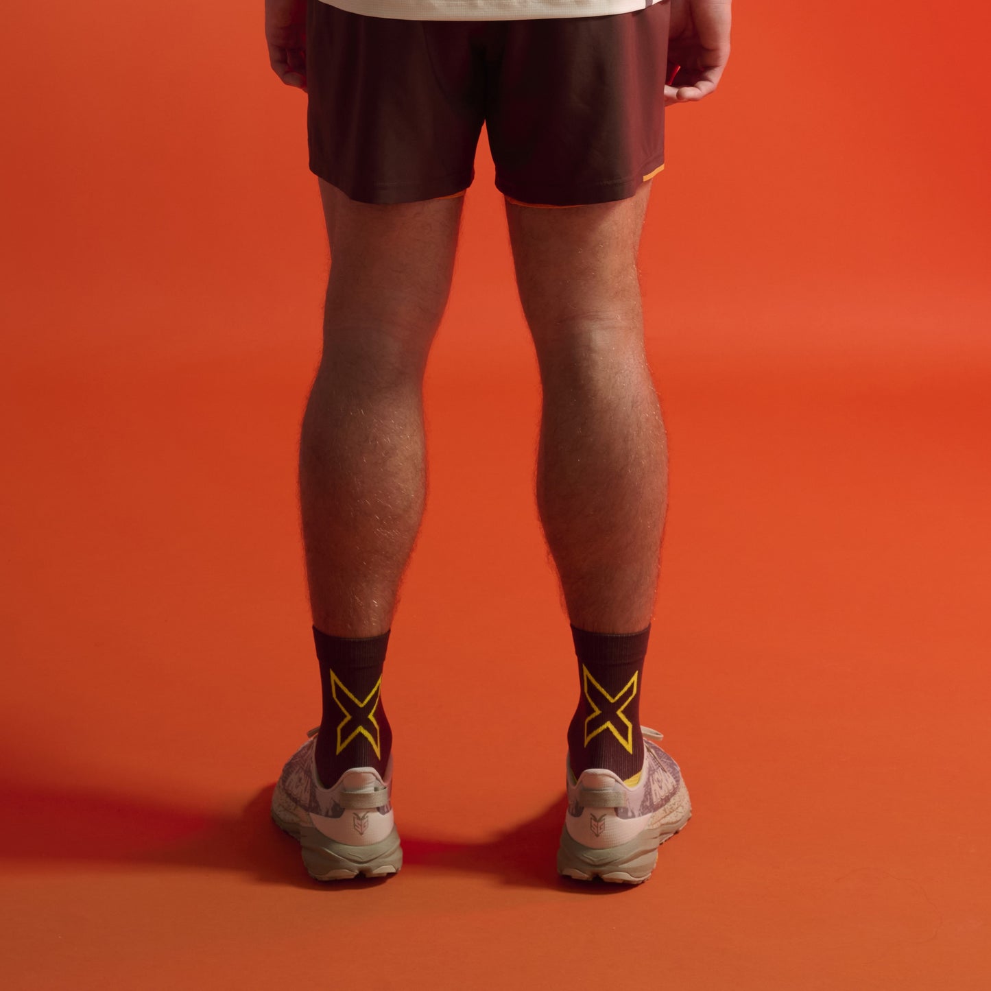 2XU Vectr Socks | Light Cushion | Crew Length | Earthberry / Wattle Mist