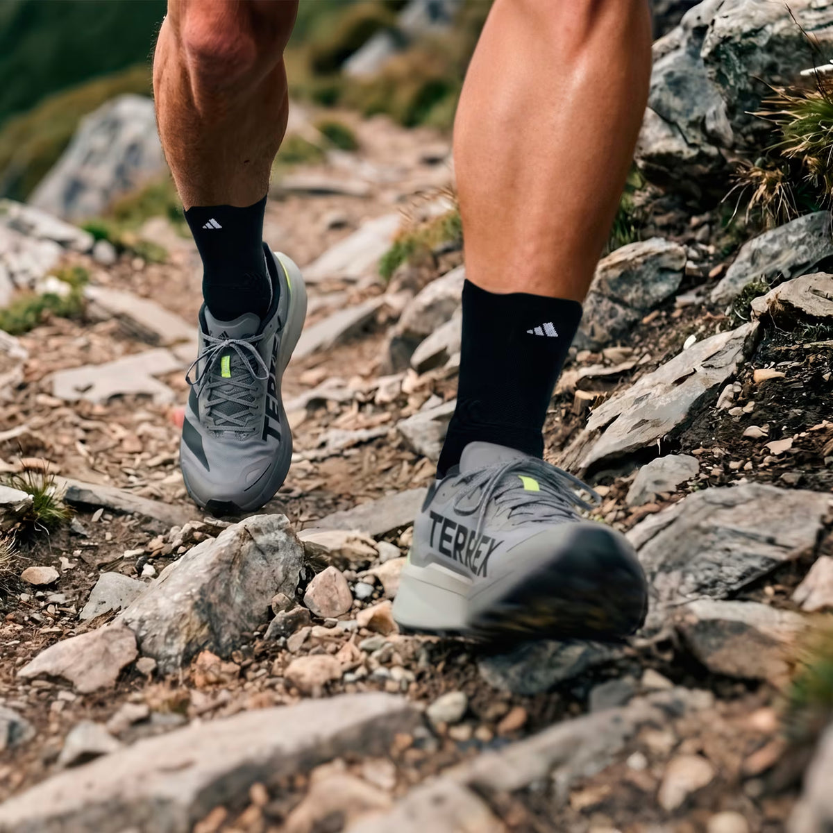 adidas Terrex Agravic 4 | Grey Three / Core Black / Frozen Lemon | Mens