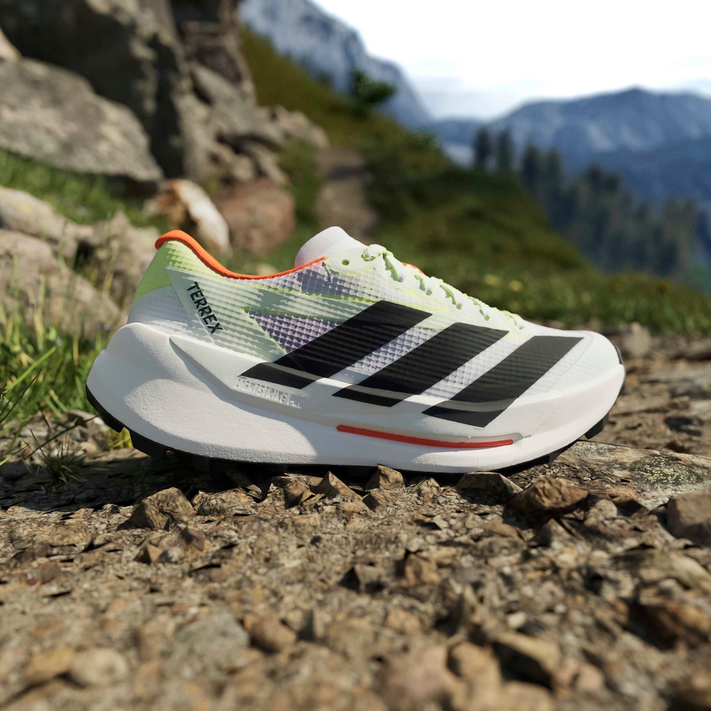 adidas Terrex Agravic TT | Cloud White / Core Black / Impact Orange | Womens