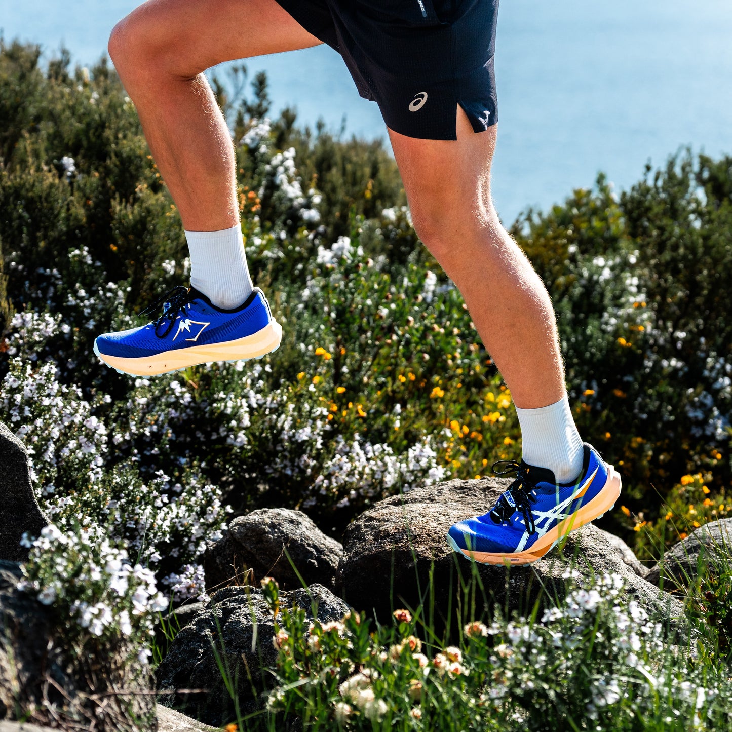 Asics Fuji Lite 6 | Cobalt Burst / Cool Grey | Mens