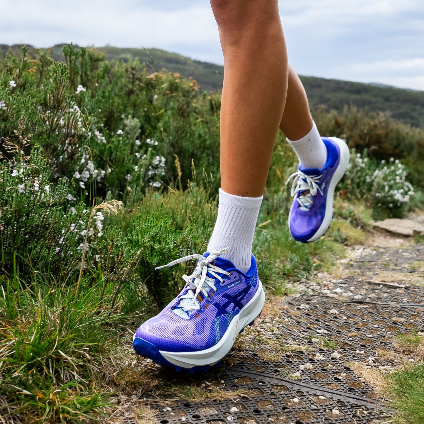 Asics Gel-Trabuco 14 | Amethyst / Cobalt Burst | Womens