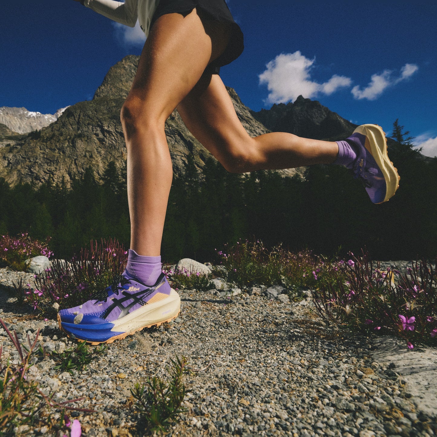 Asics Trabuco Max 5 | Amethyst / Black | Womens