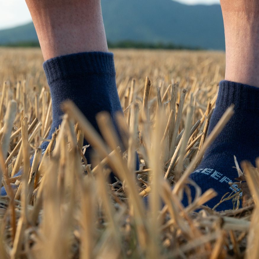 Creepers Merino Toe Socks | Quarter Crew | Dark Navy