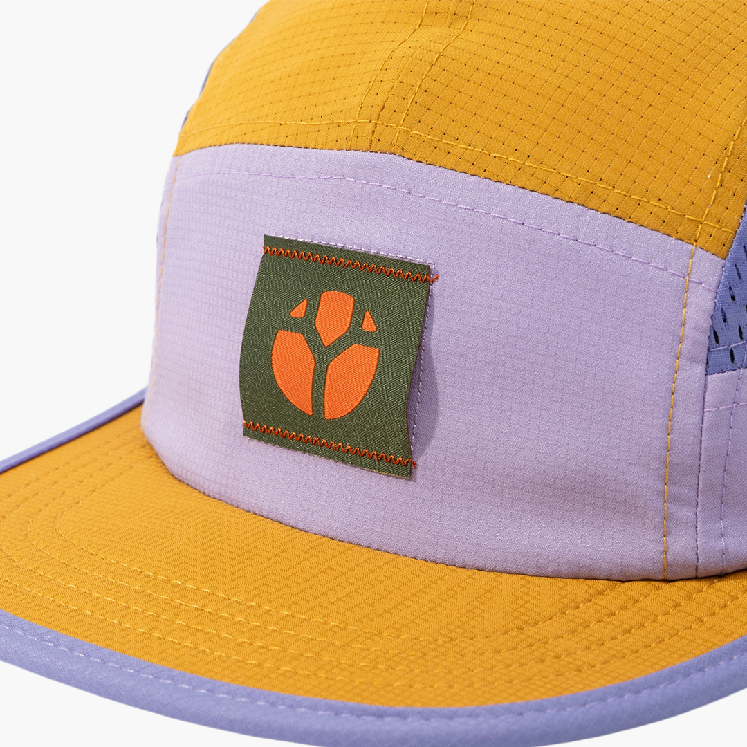 Fractel M-Series Cap | Delos