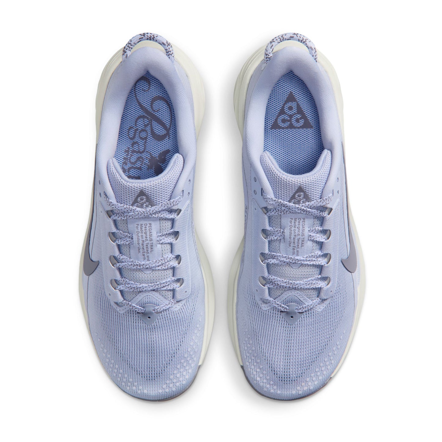 Nike ACG Pegasus Trail | Ghost / Cement Grey / Mineral Slate | Womens