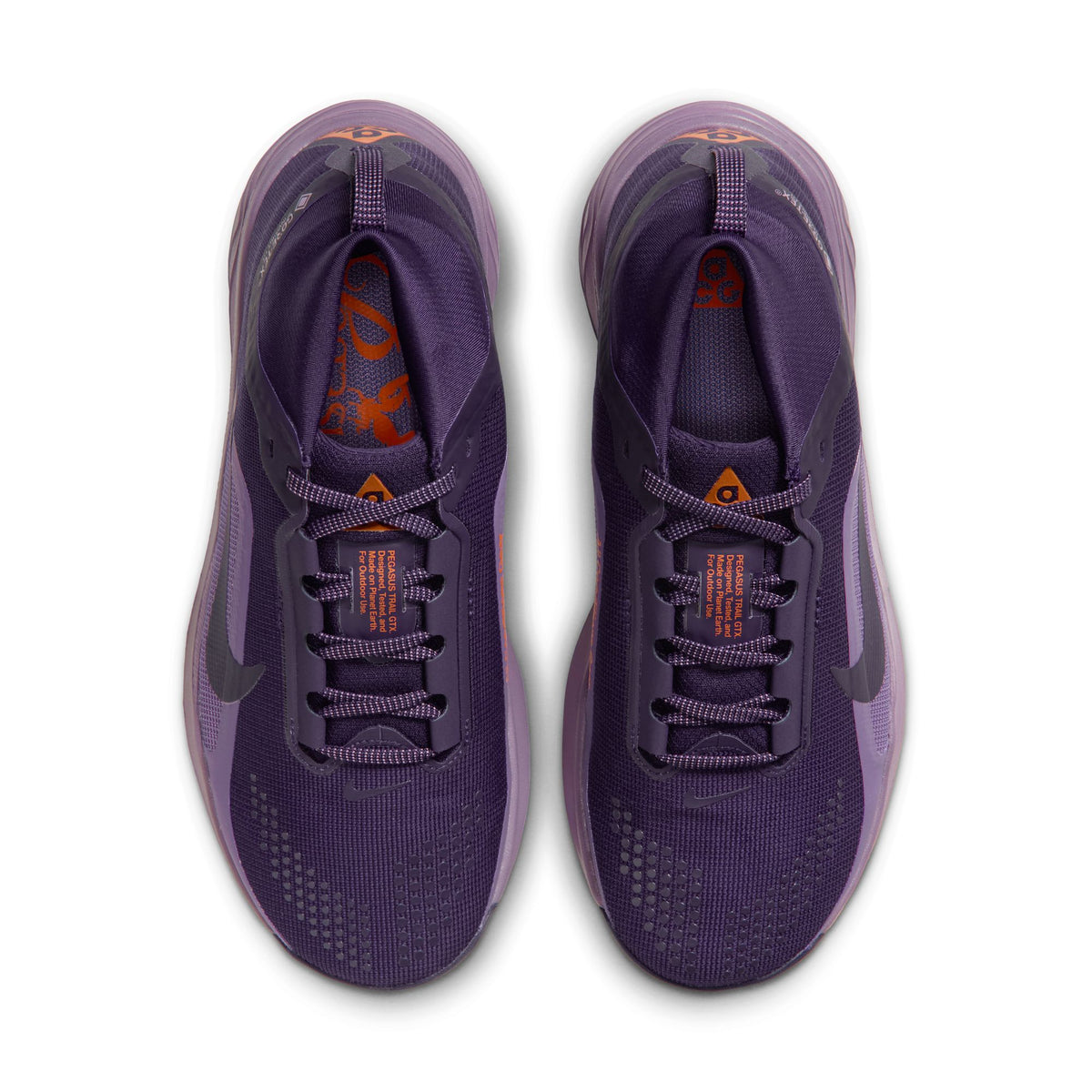 Nike ACG Pegasus Trail GORE-TEX | Purple Dynasty / Light Orewood Brown | Womens