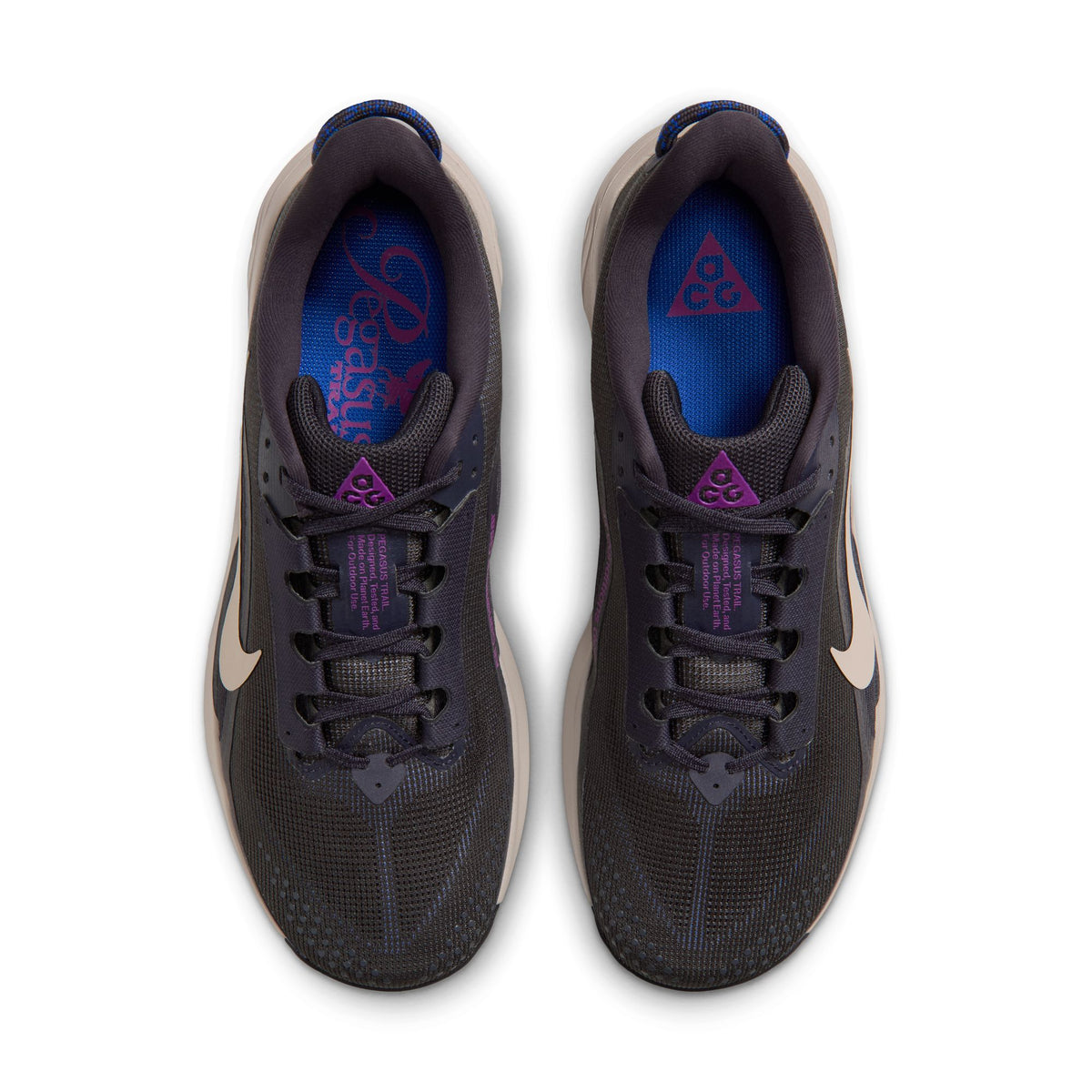 Nike ACG Pegasus Trail | Gridiron / Cream II / Racer Blue | Mens