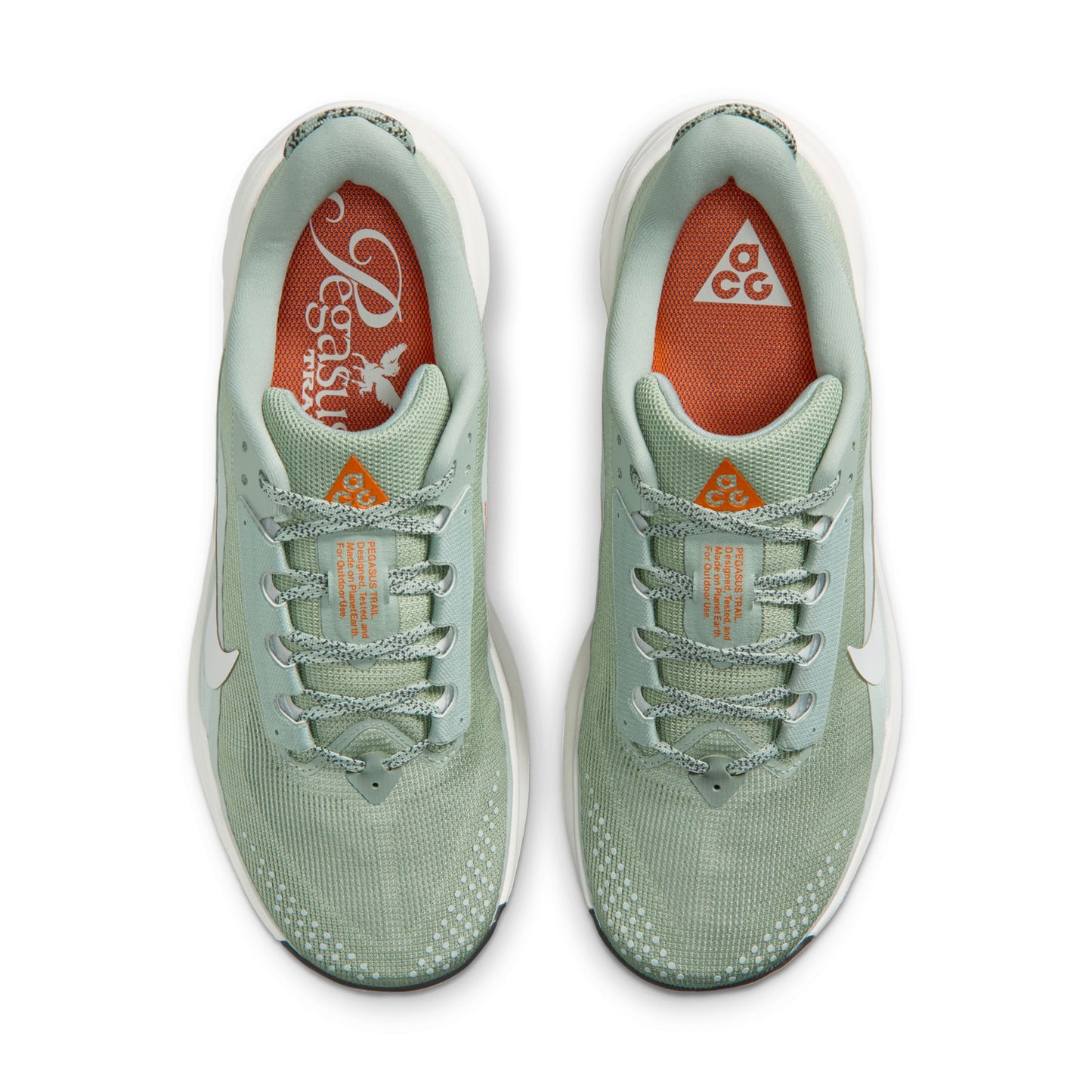Nike ACG Pegasus Trail | Jade Horizon / Phantom / Light Silver | Mens