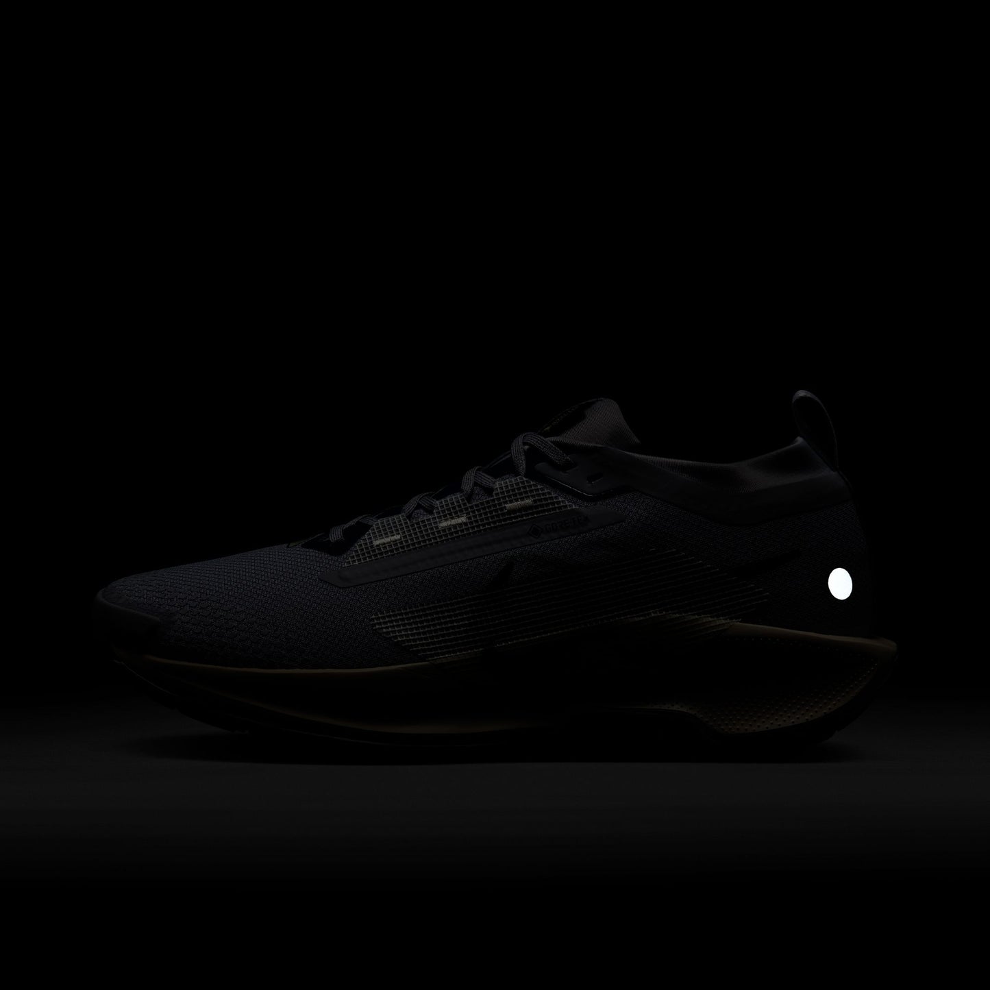 Nike Pegasus Trail 5 GORE-TEX | Cement Grey / Midnight Navy / Jade Horizon | Mens