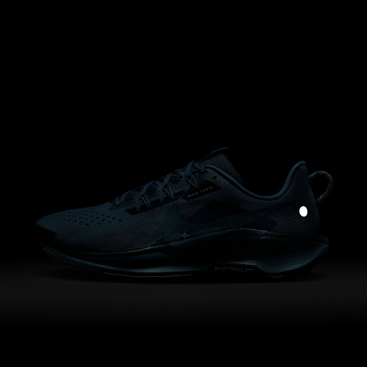 Nike Pegasus Trail 5 | Smoky Blue / Light Silver | Mens