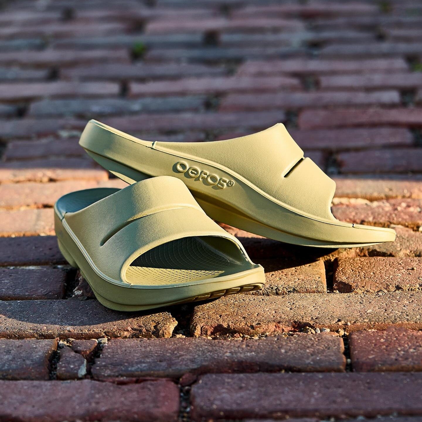 OOFOS OOahh Slide | Foliage