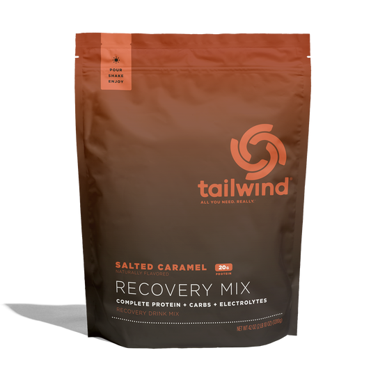 Tailwind Nutrition Fava Recovery Mix | 20 Serve | Salted Caramel